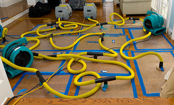 Professional Burst Pipe Water Damage technician working in Sanborn, IA
